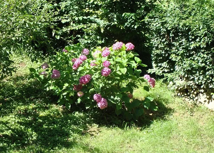 فندق Garni - Fuksas باد غليشنبرج