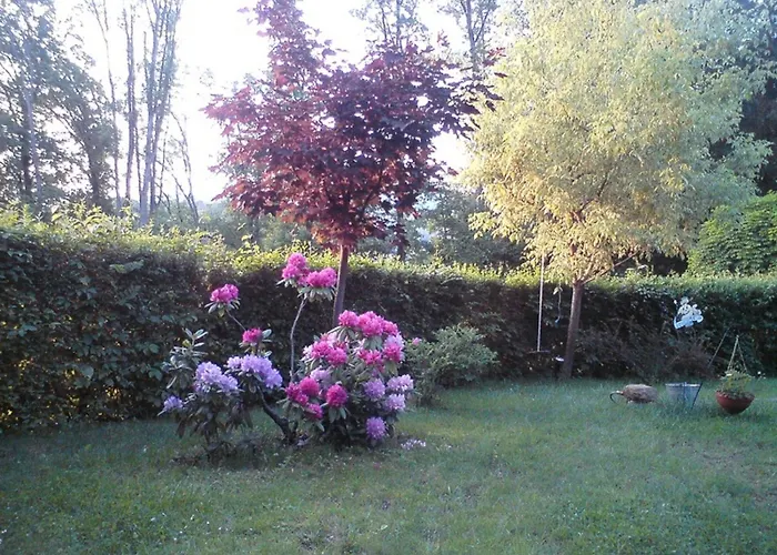 酒店 福克萨斯加尼公寓酒店 巴特格莱兴贝格